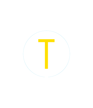 Bogg Bit - Initial "T"