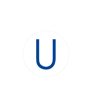 Bogg Bit - Initial "U"