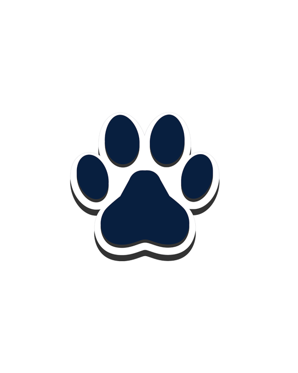 BIT02_PAW01_A BIT02_PAW01_A