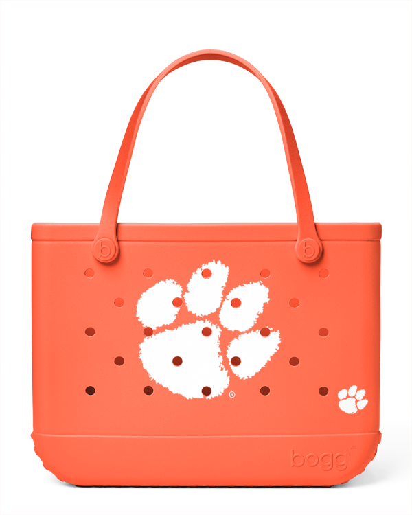 BRG100000_CLEM_A BRG100000_CLEM_A